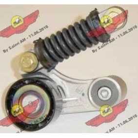 Compre Tensor, correia trapezoidal estriada da AUTOKIT 03.80119 a um preço baixo por 323,67 €