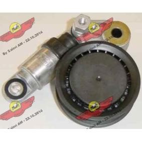 Compre Tensor, correia trapezoidal estriada da AUTOKIT 03.80137 a um preço baixo por 284,12 €