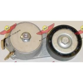 Compre Tensor, correia trapezoidal estriada da AUTOKIT 03.80217 a um preço baixo por 124,22 €