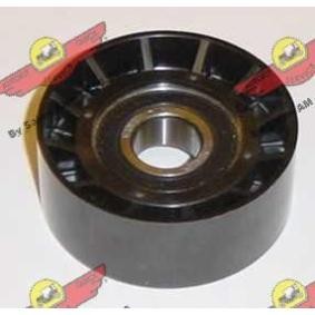Comprar Polea inversión / guía, correa poli V de AUTOKIT 03.80255 a bajo precio de 81,74 €