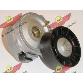 Acquista Braccio tenditore, Cinghia Poly-V da AUTOKIT 03.80258 a buon mercato per soli 75,81 €