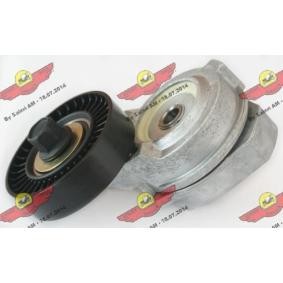 Compre Tensor, correia trapezoidal estriada da AUTOKIT 03.80329 a um preço baixo por 215,29 €