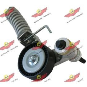 Comprar Brazo tensor, correa poli V de AUTOKIT 03.80360 a bajo precio de 126,61 €