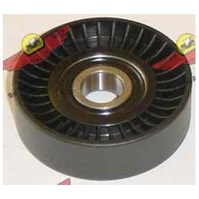 Comprar Polea inversión / guía, correa poli V de AUTOKIT 03.80376 a bajo precio de 72,87 €