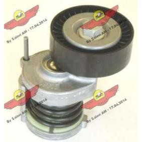 Comprar Brazo tensor, correa poli V de AUTOKIT 03.80422 a bajo precio de 94,68 €