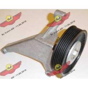 Compre Tensor, correia trapezoidal estriada da AUTOKIT 03.80434 a um preço baixo por 187,04 €
