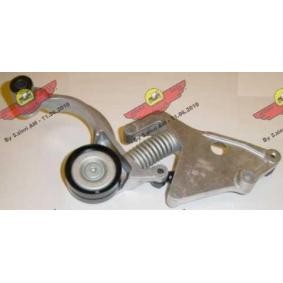Acquista Braccio tenditore, Cinghia Poly-V da AUTOKIT 03.80436 a buon mercato per soli 198,37 €