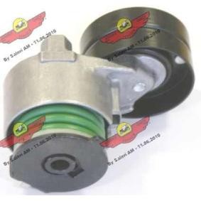 Compre Tensor, correia trapezoidal estriada da AUTOKIT 03.80446 a um preço baixo por 145,93 €