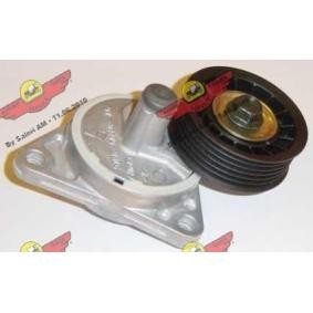 Acquista Braccio tenditore, Cinghia Poly-V da AUTOKIT 03.80468 a buon mercato per soli 129,40 €