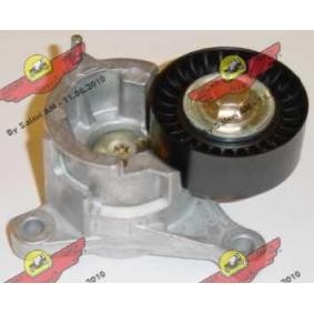 Acquista Braccio tenditore, Cinghia Poly-V da AUTOKIT 03.80495 a buon mercato per soli 95,08 €