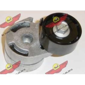 Comprar Brazo tensor, correa poli V de AUTOKIT 03.80571 a bajo precio de 108,13 €