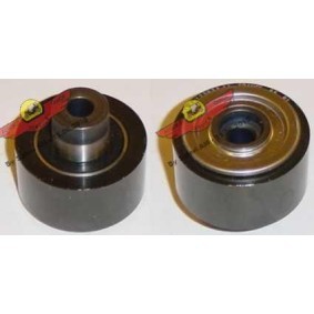 Comprar Polea inversión / guía, correa poli V de AUTOKIT 03.80572 a bajo precio de 90,27 €