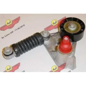 Comprar Brazo tensor, correa poli V de AUTOKIT 03.80574 a bajo precio de 206,85 €