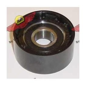 Comprar Polea inversión / guía, correa poli V de AUTOKIT 03.80580 a bajo precio de 82,84 €