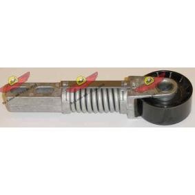 Acquista Braccio tenditore, Cinghia Poly-V da AUTOKIT 03.80689 a buon mercato per soli 117,55 €
