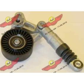 Compre Tensor, correia trapezoidal estriada da AUTOKIT 03.80757 a um preço baixo por 207,09 €