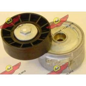 Acquista Braccio tenditore, Cinghia Poly-V da AUTOKIT 03.80791 a buon mercato per soli 90,66 €