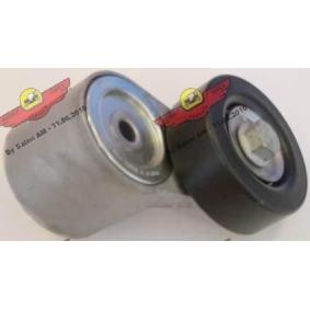 Comprar Brazo tensor, correa poli V de AUTOKIT 03.80881 a bajo precio de 161,54 €