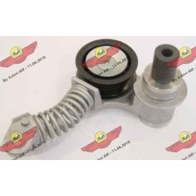 Comprar Tensor de correa poli V de AUTOKIT 03.80906 a bajo precio de 409,51 €
