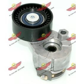 Comprar Brazo tensor, correa poli V de AUTOKIT 03.81061 a bajo precio de 107,93 €
