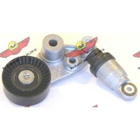 Achetez des Galet tendeur de courroie d'accessoire AUTOKIT 03.81105 à prix pour 135,63 €