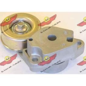 Achetez des Galet tendeur de courroie d'accessoire AUTOKIT 03.81129 à prix pour 204,11 €