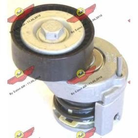 Compre Tensor, correia trapezoidal estriada da AUTOKIT 03.81158 a um preço baixo por 148,45 €