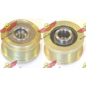 Comprar Rueda libre de alternador de AUTOKIT 03.81189 a bajo precio de 95,44 €
