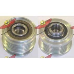 Achetez des Poulie roue libre, alternateur AUTOKIT 03.81254 à prix pour 71,96 €