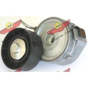 Acquista Braccio tenditore, Cinghia Poly-V da AUTOKIT 03.81286 a buon mercato per soli 102,75 €