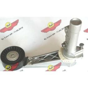 Acquista Braccio tenditore, Cinghia Poly-V da AUTOKIT 03.81317 a buon mercato per soli 103,99 €