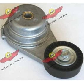 Compre Tensor, correia trapezoidal estriada da AUTOKIT 03.81335 a um preço baixo por 149,35 €