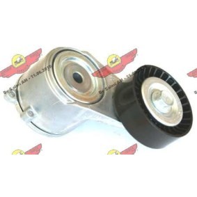 Compre Tensor, correia trapezoidal estriada da AUTOKIT 03.81373 a um preço baixo por 165,04 €
