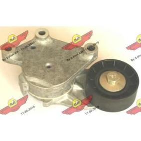 Achetez des Poulie renvoi / transmission, courroie trapézoïdale à nervures de chez AUTOKIT en ligne pour C4 II Van / 3/5 portes (NC_) à prix modérés