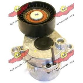 Compre Tensor, correia trapezoidal estriada da AUTOKIT 03.81506 a um preço baixo por 181,12 €