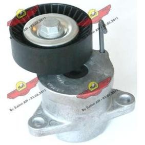 Acquista Braccio tenditore, Cinghia Poly-V da AUTOKIT 03.81617 a buon mercato per soli 120,40 €