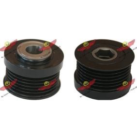 Achetez des Poulie roue libre, alternateur AUTOKIT 03.81622 à prix pour 128,42 €