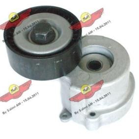 Compre Tensor, correia trapezoidal estriada da AUTOKIT 03.81637 a um preço baixo por 128,51 €