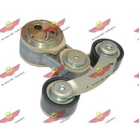 Comprar Brazo tensor, correa poli V de AUTOKIT 03.81737 a bajo precio de 344,29 €