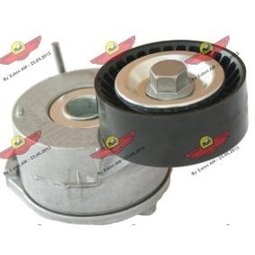 Acquista Braccio tenditore, Cinghia Poly-V da AUTOKIT 03.81769 a buon mercato per soli 98,43 €
