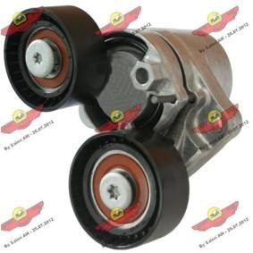 Comprar Brazo tensor, correa poli V de AUTOKIT 03.81832 a bajo precio de 139,80 €