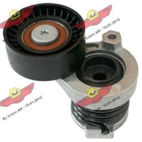 Acquista Tendicinghia, cinghia poly-v da AUTOKIT online per Kangoo III MPV a prezzi moderati
