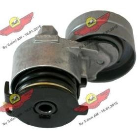 Comprar Brazo tensor, correa poli V de AUTOKIT 03.81961 a bajo precio de 243,54 €
