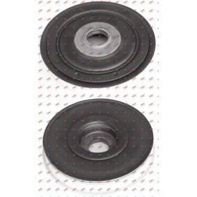 Comprar Polea de cigüeñal de AUTOKIT 03.90207 a bajo precio de 147,57 €