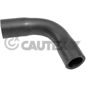 Achetez des Tuyau d'huile CAUTEX 036045 à prix pour 10,85 €