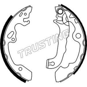 Bremsbackensatz von TRUSTING