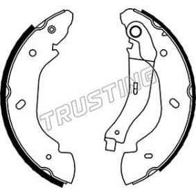 Bremsbackensatz von TRUSTING