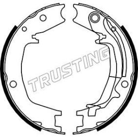 Achetez des Mâchoires de frein à main TRUSTING 046.215Y à prix pour 69,93 €