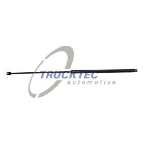 Gasdruckfeder 05.66.001 MAN von TRUCKTEC AUTOMOTIVE