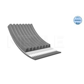 Keilrippenriemen 050 008 1215 für DAF
